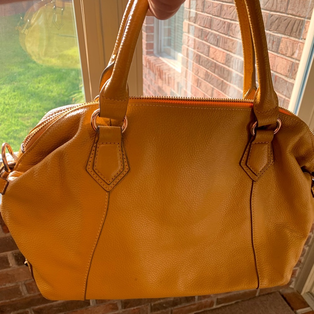 Large carrying purse